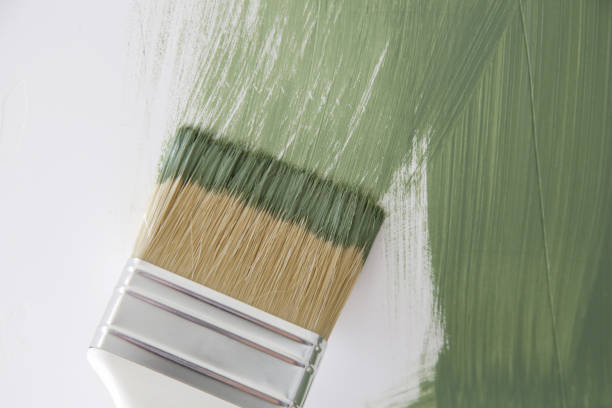 Best Basement Mold Removal  in Zephyrhills, FL