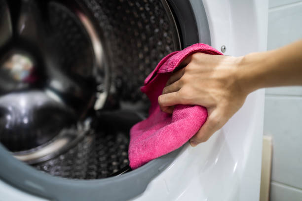 Best Mold Odor Removal Services  in Zephyrhills, FL