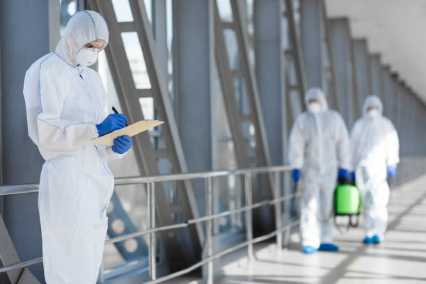 Best Black Mold Removal  in Zephyrhills, FL