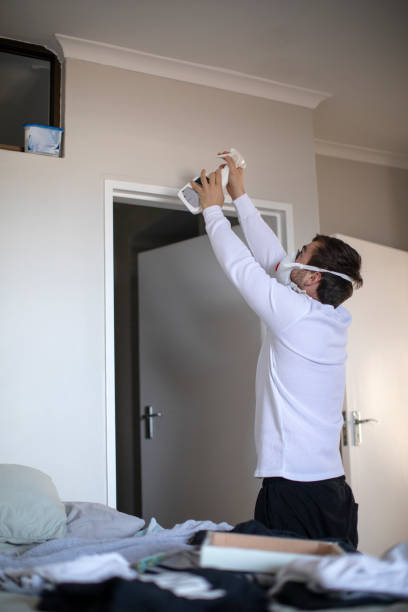 Best Asbestos and Lead Testing During Mold Inspection  in Zephyrhills, FL