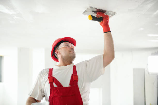 Best Dehumidification Services  in Zephyrhills, FL