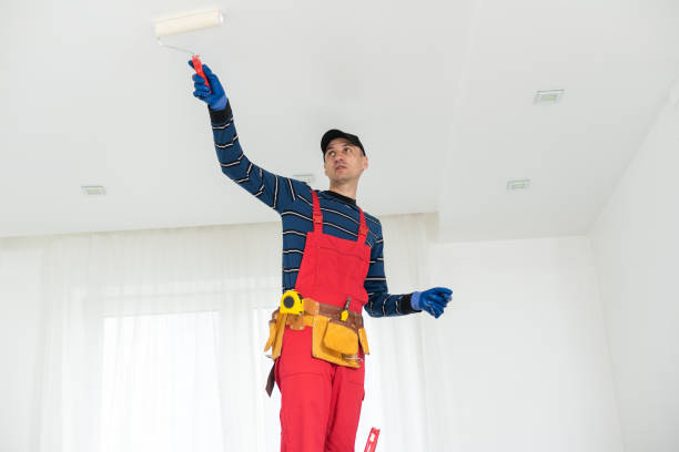 Environmental Consulting for Mold Prevention in Zephyrhills, FL