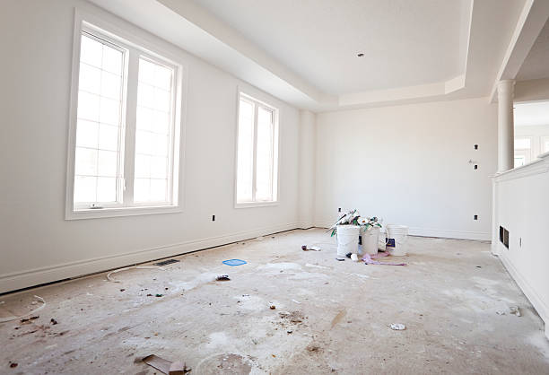 Best Attic Mold Removal  in Zephyrhills, FL
