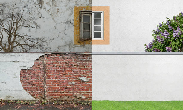 Professional Mold Removal in Zephyrhills, FL