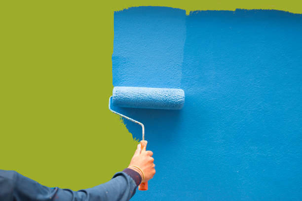 Best Water Damage & Mold Remediation  in Zephyrhills, FL