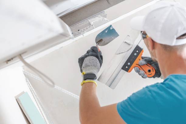 Best Industrial Mold Remediation  in Zephyrhills, FL